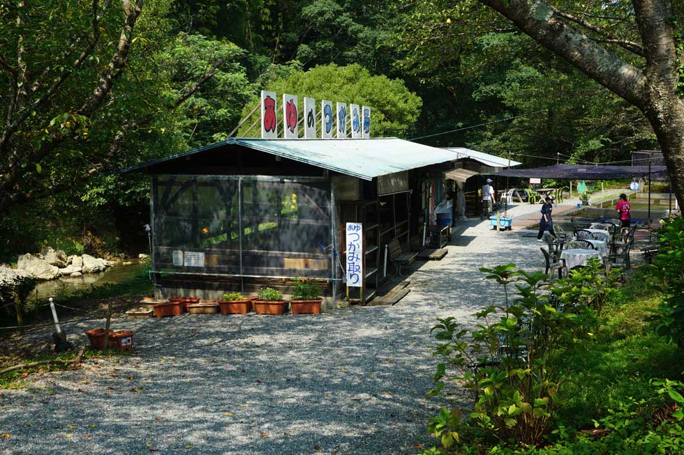 竜ヶ岩洞あゆ狩り園