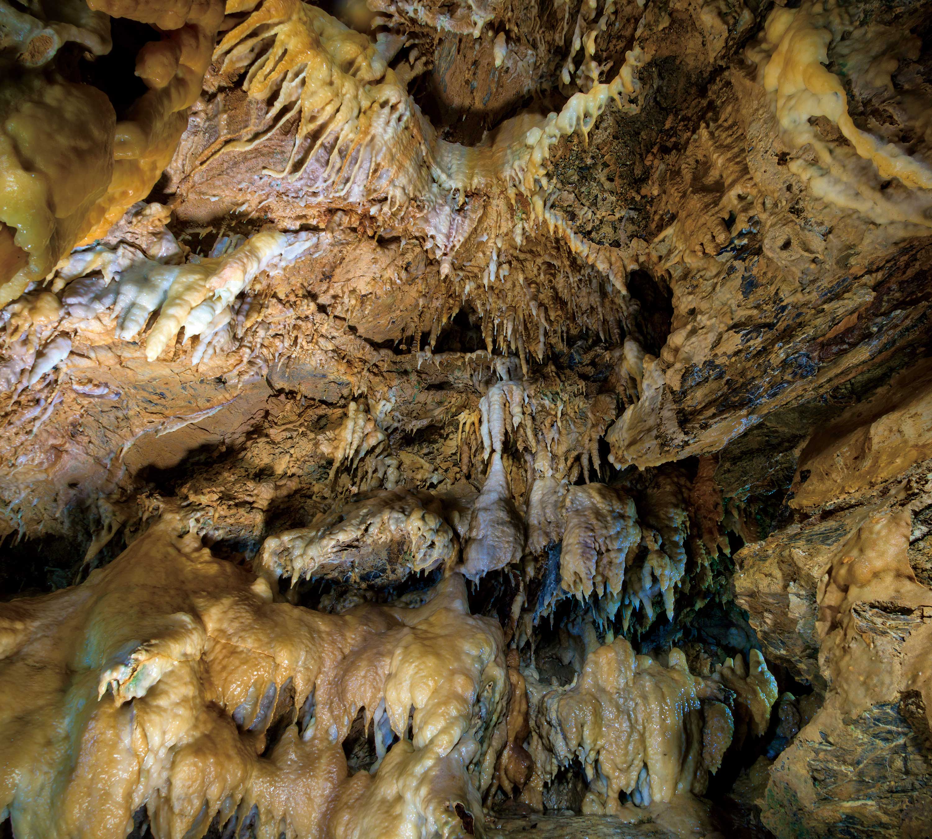 お問合せ 竜ヶ岩洞 りゅうがしどう 静岡県浜松市北区引佐町の洞窟 鍾乳洞